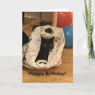 Carte Photo de chat personnalisée Anniversaire