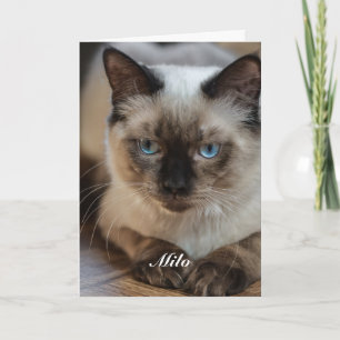 Carte Photo de chat Ragdoll personnalisé avec nom