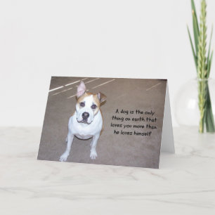 Carte photo de chien