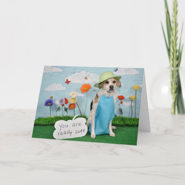Carte Photo de chien dans des vêtements, thème "mignon" (Devant)