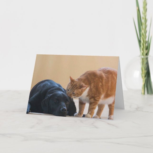 Carte photo de chien - Davy et ami (Devant)