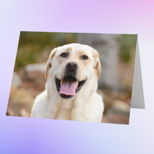 Carte Photo de chien personnalisée