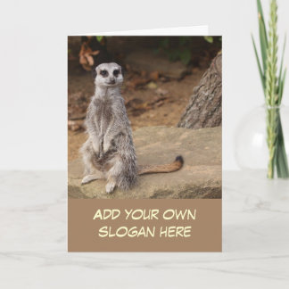 Carte Photo de Cute Meerkat pour vous Customiser