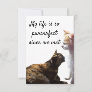 Carte Photo de deux chats avec la vie parfaite de Valent