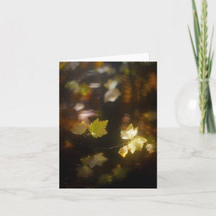 Carte Photo de feuilles d'automne à la lumière douce