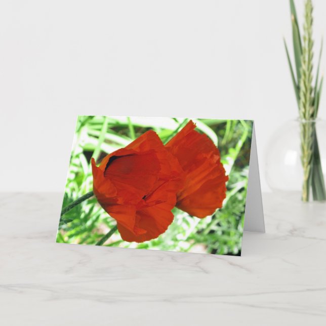 Carte Photo de fleur de deux pavots orientaux (Devant)