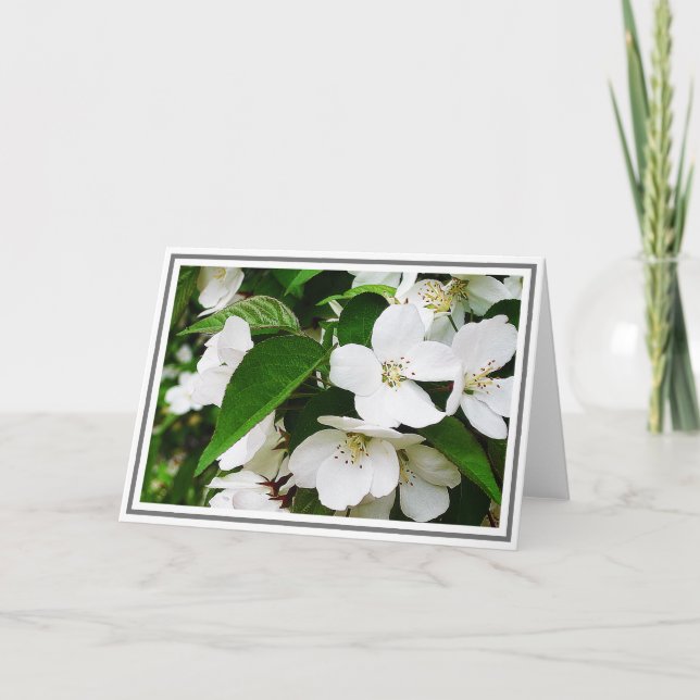 Carte Photo de Fleurs de cerisier blanc au feuillage ver (Devant)