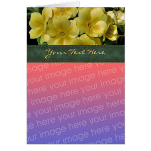 Carte photo de fleurs de Primrose jaune
