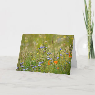Carte Photo de fleurs sauvages - blanc