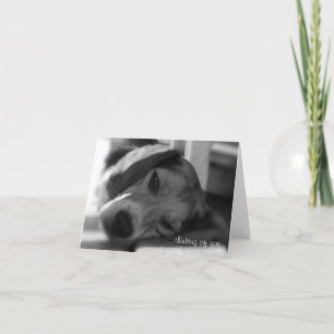 Carte Photo de gros plan de beagle Dog Snoopy