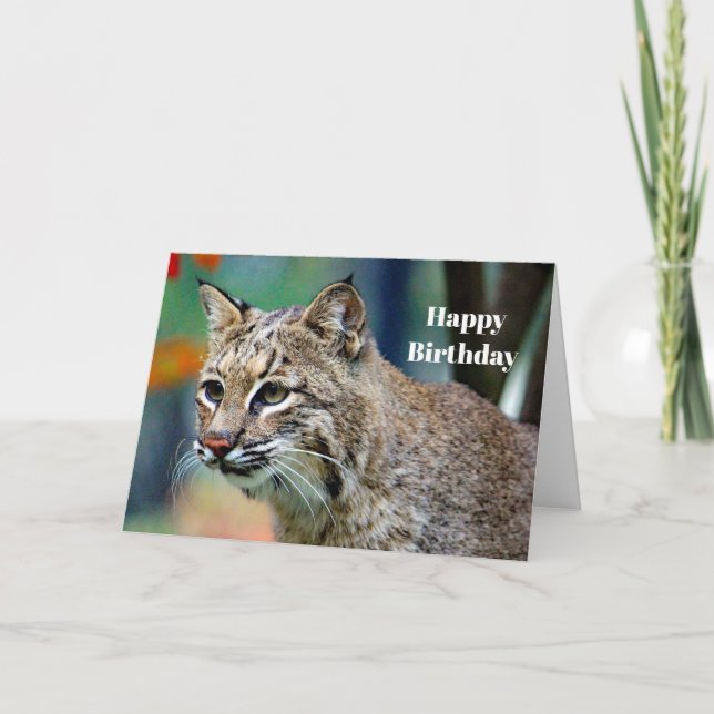 Carte Photo de la faune Bobcat Anniversaire (Devant)