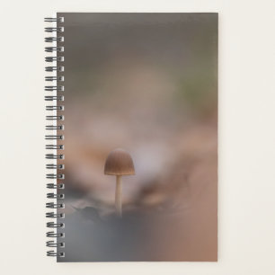 Carte photo de la nature des champignons