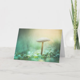 Carte Photo de la nature des champignons enchantés