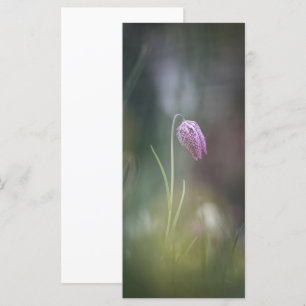 Carte photo de la nature des fleurs d'échecs