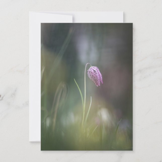 Carte photo de la nature des fleurs d'échecs (Devant)