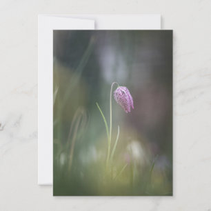 Carte photo de la nature des fleurs d'échecs