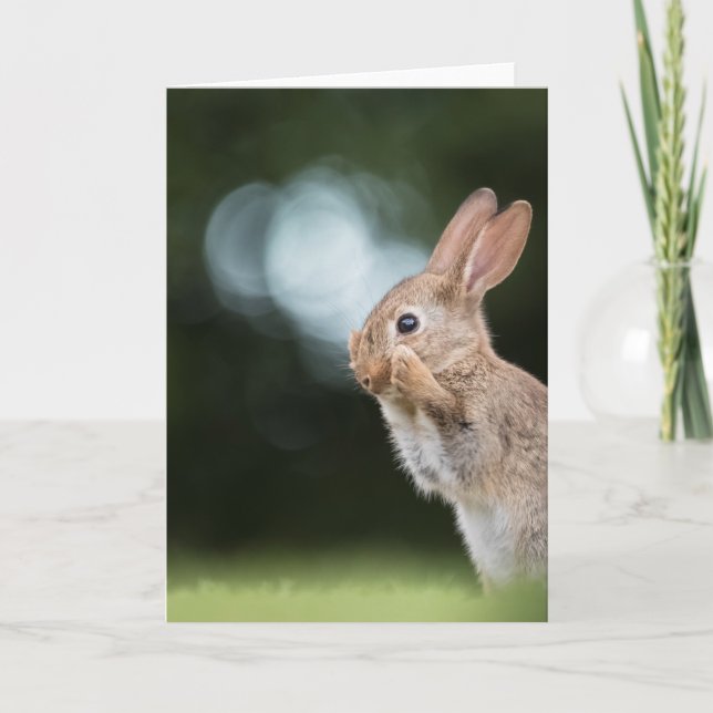 Carte Photo de lapin de Pâques dans la nature (Devant)