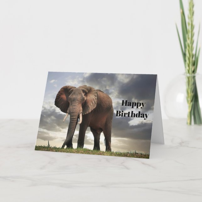 Carte Photo de l'éléphant de la faune Anniversaire (Devant)