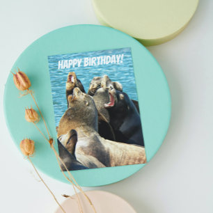 Carte Photo de lions de mer pour tous les anniversaires