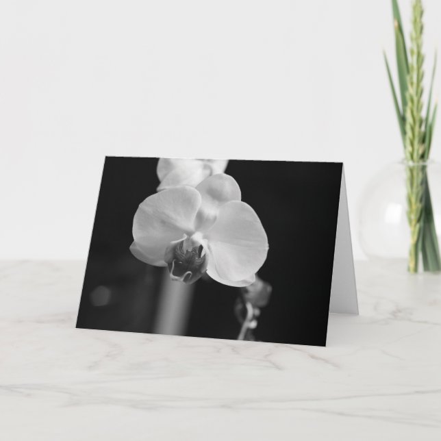 Carte Photo de l'orchidée noire et blanche "Joyeux anniv (Devant)