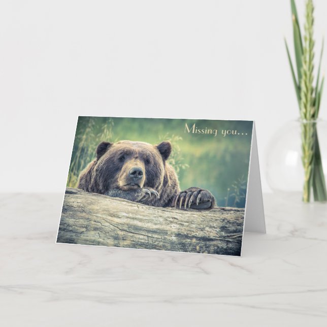 Carte photo de l'ours : Vous manquez ou n'importe  (Devant)