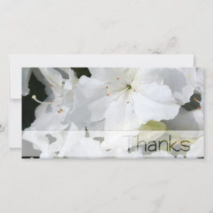Carte photo de Merci de l'Azalea blanc