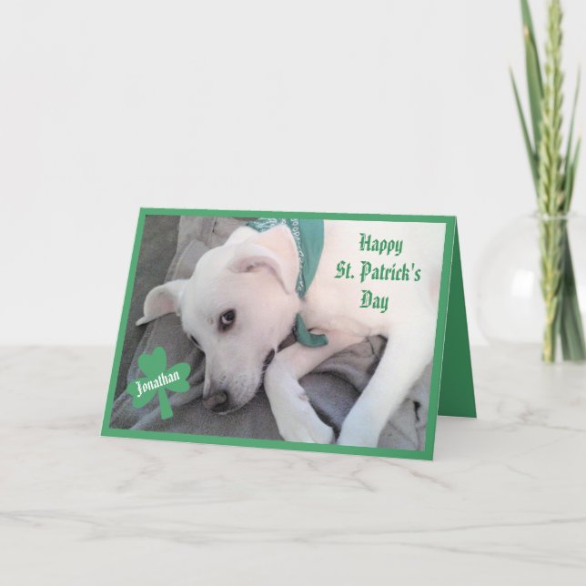 Carte Photo de mignonne Lazy Dog Funny St. Patrick's Day (Devant)