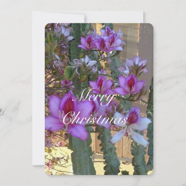 Carte photo de Noël 5X7 (Devant)