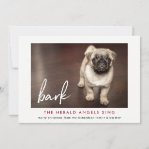 Carte photo de Noël amusante du chien   Rouge