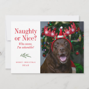 Carte photo de Noël drôle Naughty ou Nice Pet