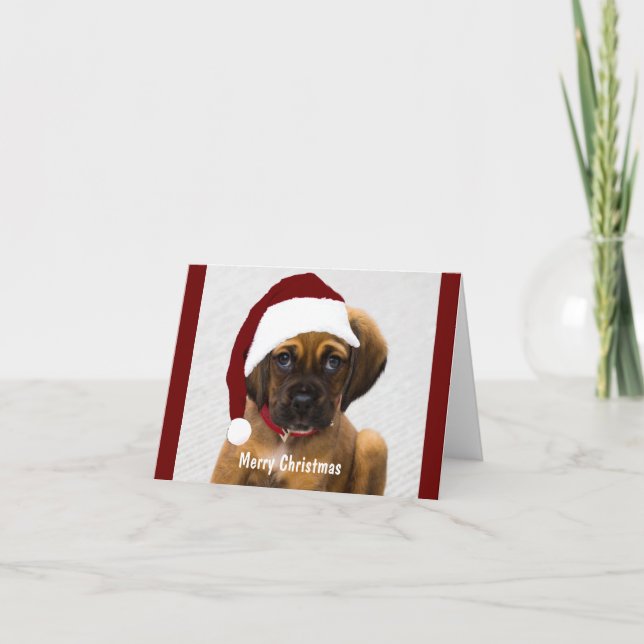 Carte photo de Noël personnalisé pour animaux de compagn (Devant)