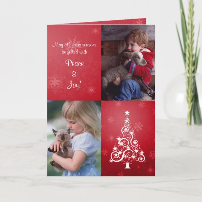 Carte photo de Noël Plié (Devant)