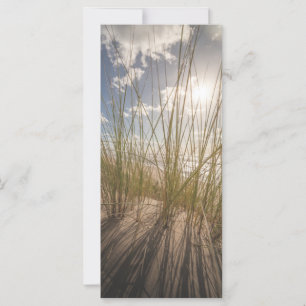 Carte photo de plage et de Sun Nature