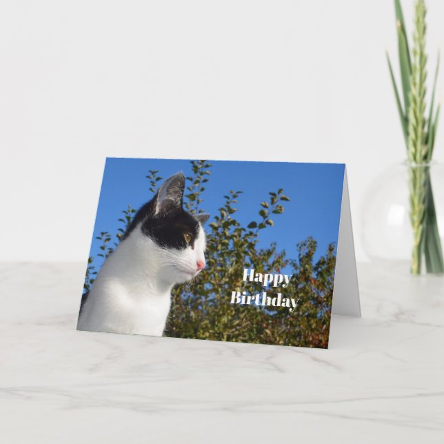 Carte Photo de profil noir et blanc de chat Anniversaire (Devant)