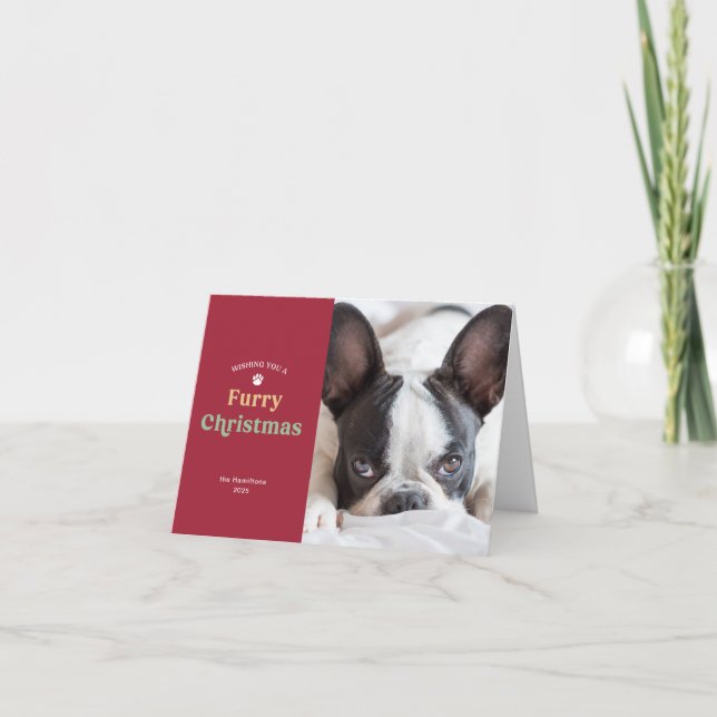 Carte photo de vacances Fer Noël Chien rouge ou Ch (Devant)