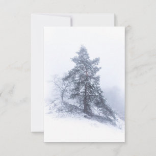 Carte photo d'hiver du pin couvert de neige