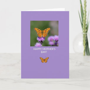 Carte photo d'insecte à la lavande