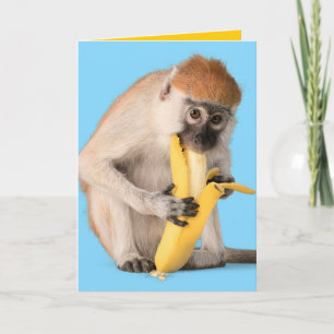 Carte Photo drôle d'un mignon singe mangeant une banane
