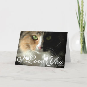 Carte Photo du chat I Love You