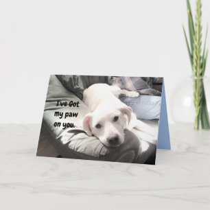Carte Photo d'un chien blanc pâle accroché avec papa