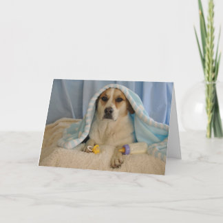 Carte Photo d'un chien en tant que bébé