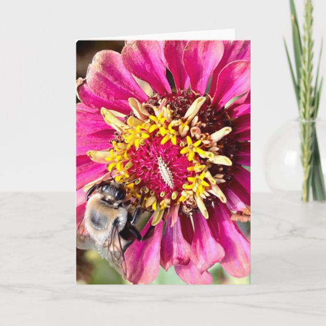 Carte Photo d'une fleur de New England Blank Greeting (Devant)