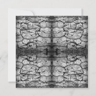 Carte Photo en noir et blanc de l'écorce d'un arbre, gro