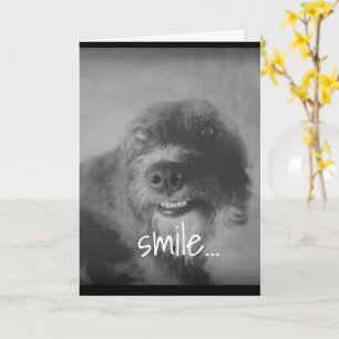 Carte photo en noir et blanc drôle chien humoristique an