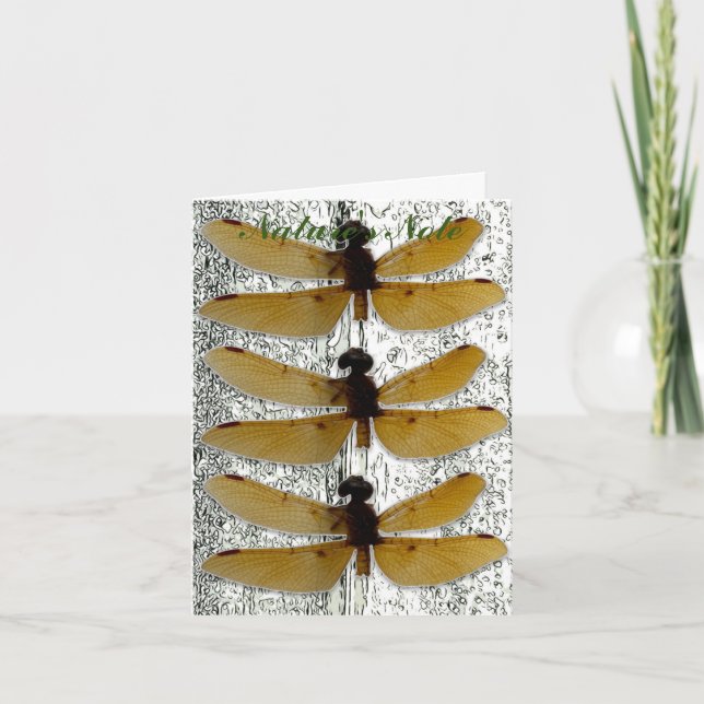 CARTE PHOTO FEUILLE DE DRAGONFLY (Devant)