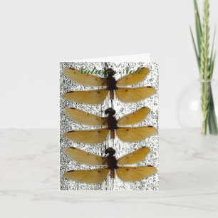 CARTE PHOTO FEUILLE DE DRAGONFLY