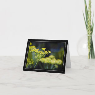 Carte photo fleur sauvage