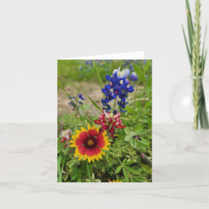 Carte photo Fleur sauvage du Texas
