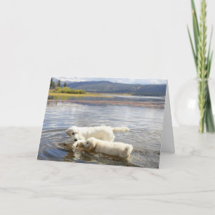 Carte photo Golden Retriever