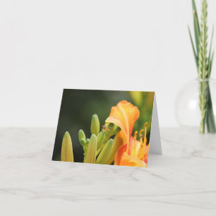 Carte photo, hoverfly on orange lily